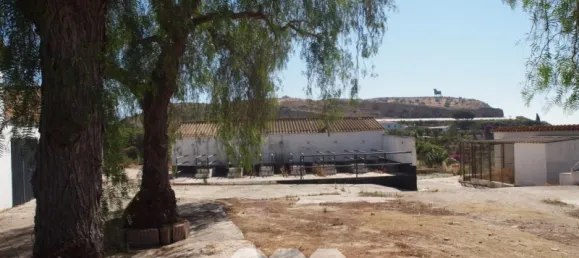 10 Schlafzimmer Haus in Almayate Bajo, Spain, Nr. 58813 21