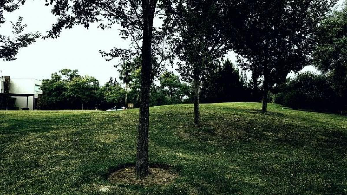  Land in Tigre, Argentina No. 42453