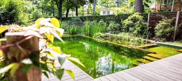 4 chambres Villa à Potsdam-Mittelmark, Germany No. 231844 24