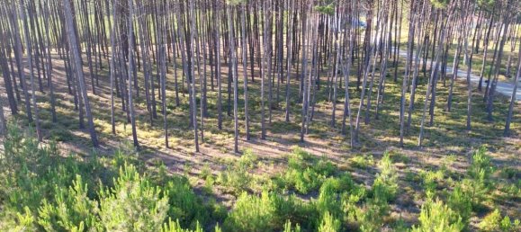 4 chambres Villa à Alcobaca, Portugal No. 151121 14