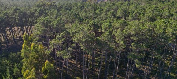 4 chambres Villa à Alcobaca, Portugal No. 151121 7