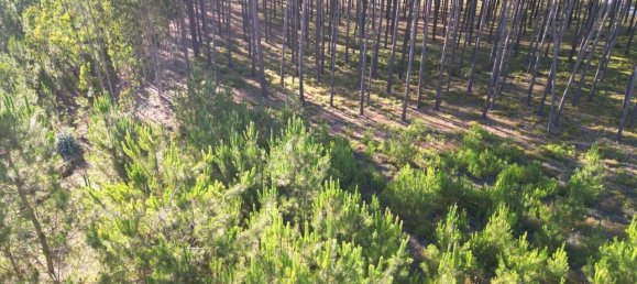 4 chambres Villa à Alcobaca, Portugal No. 151121 35