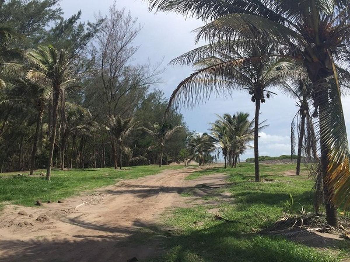  Land in Veracruz, Mexico No. 203428