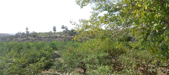 Casa T2 em Abanilla, Spain N.º 90532 22