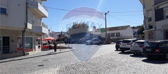 38m² Commercial property in Moimenta da Beira, Portugal No. 44677 4