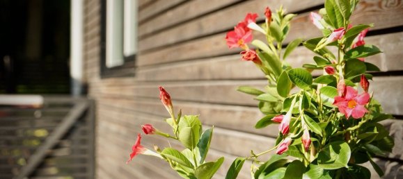 5 rooms House in Flensburg, Germany No. 61191 4