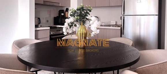 2 غرف نوم شقة في وسط مدينة دبي, UAE رقم 24945 5