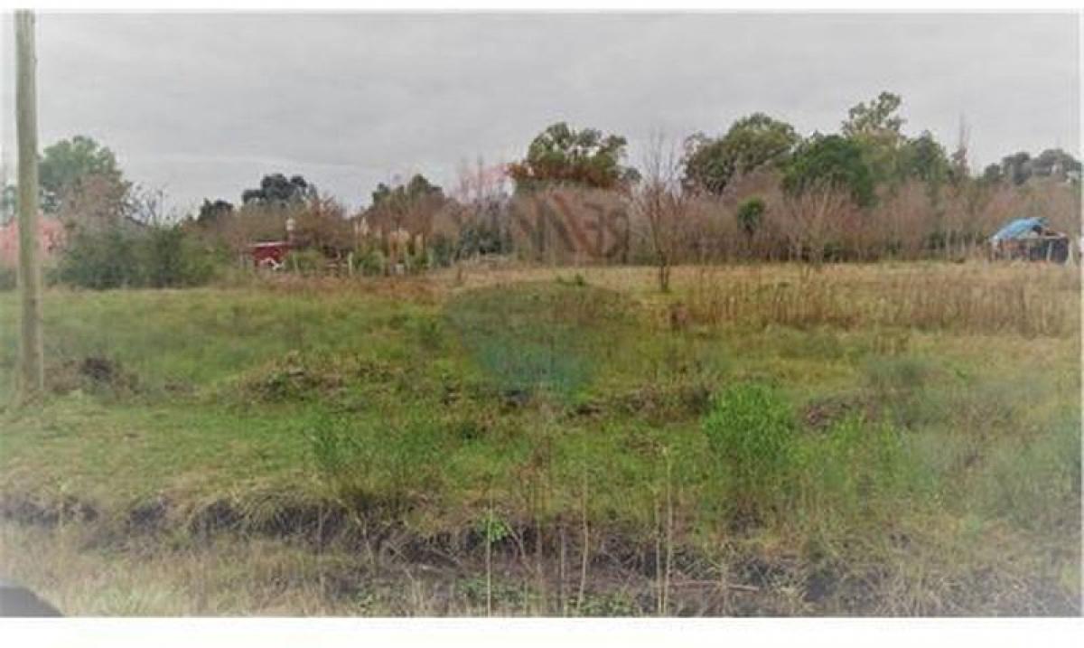 Grundstück in Buenos Aires, Argentina, Nr. 117216