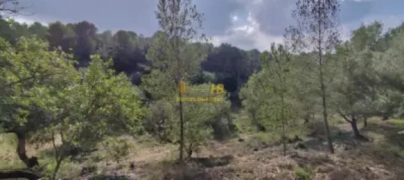 Земельный участок 2047м² в Тортоса, Испания № 165129 26