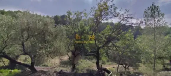 Земельный участок 2047м² в Тортоса, Испания № 165129 14