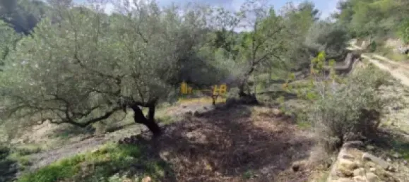 Земельный участок 2047м² в Тортоса, Испания № 165129 27