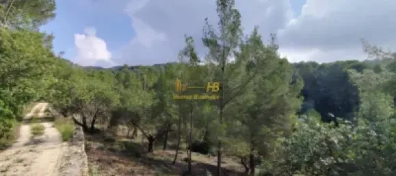 2047m² Land in Tortosa, Spain No. 165129 42