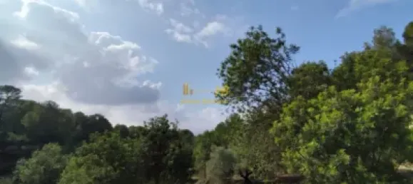 Земельный участок 2047м² в Тортоса, Испания № 165129 29