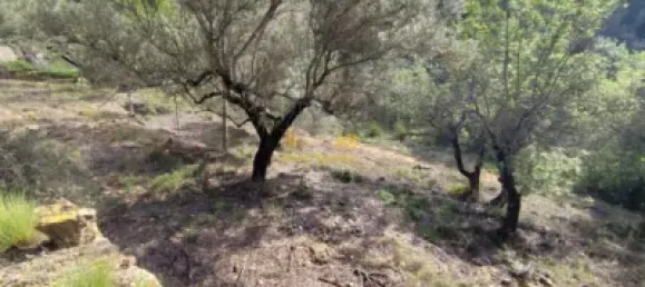 Земельный участок 2047м² в Тортоса, Испания № 165129 41