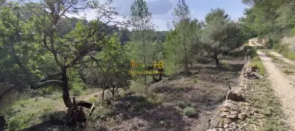 Земельный участок 2047м² в Тортоса, Испания № 165129 12