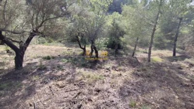 Земельный участок 2047м² в Тортоса, Испания № 165129