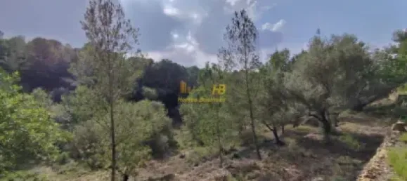 Земельный участок 2047м² в Тортоса, Испания № 165129 24