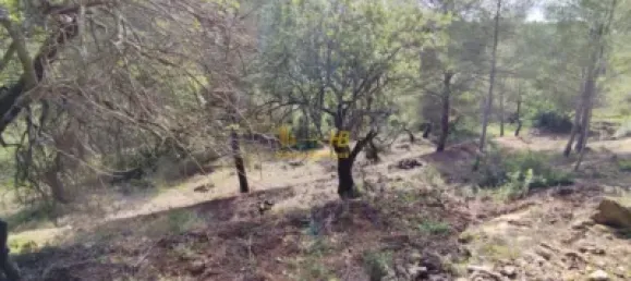 Земельный участок 2047м² в Тортоса, Испания № 165129 39