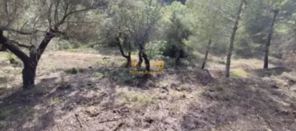 Земельный участок 2047м² в Тортоса, Испания № 165129 22