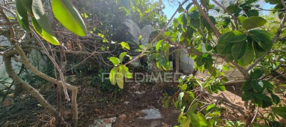 Terrain à Loule, Portugal 200m² No. 72736 22