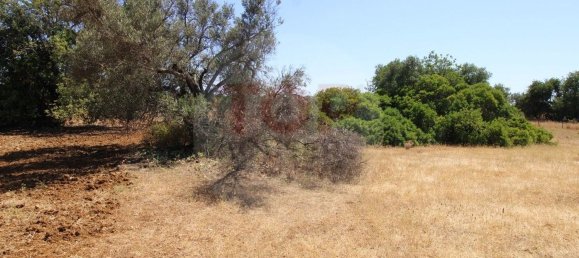 Terreno en Faro, Portugal 2740 m² No. 45438 9