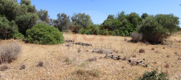 Terreno en Faro, Portugal 2740 m² No. 45438 12