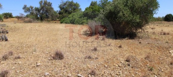 Terreno en Faro, Portugal 2740 m² No. 45438 14