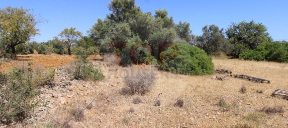 Terreno en Faro, Portugal 2740 m² No. 45438 13