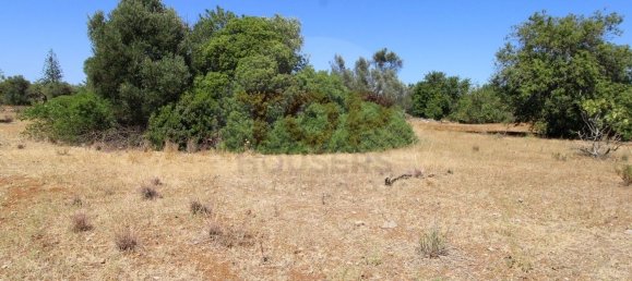 Terreno en Faro, Portugal 2740 m² No. 45438 17