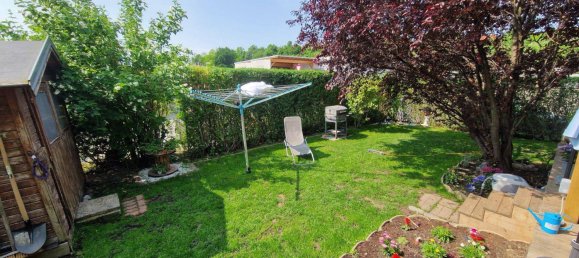 3 rooms Commercial property in Langenlois, Austria No. 175388 5