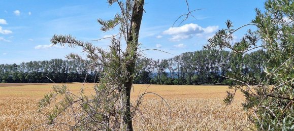 Casa de 3 dormitorios en Vorpommern-Greifswald, Germany No. 332775 19