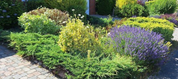 Casa de 3 dormitorios en Vorpommern-Greifswald, Germany No. 332775 17