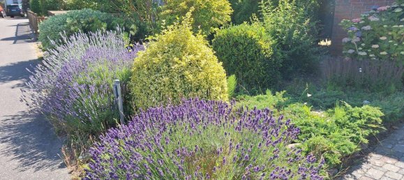 Casa de 3 dormitorios en Vorpommern-Greifswald, Germany No. 332775 16