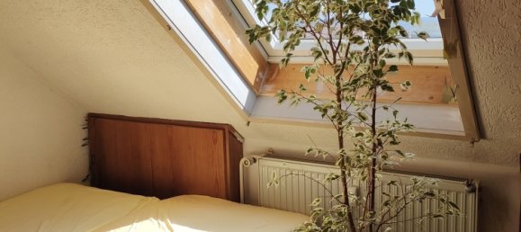 8-Zimmer Stadthaus in Aschaffenburg, Germany, Nr. 356816 20