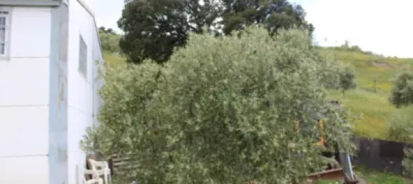 3 Schlafzimmer Haus in Cadiz, Spain, Nr. 166908 36