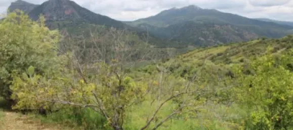 3 Schlafzimmer Haus in Cadiz, Spain, Nr. 166908 5