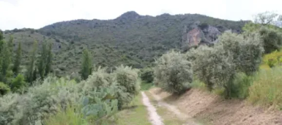 3 Schlafzimmer Haus in Cadiz, Spain, Nr. 166908 44