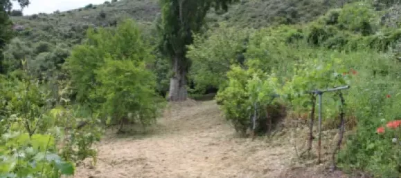 3 Schlafzimmer Haus in Cadiz, Spain, Nr. 166908 14