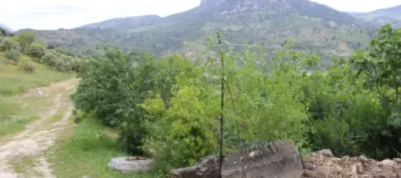 3 Schlafzimmer Haus in Cadiz, Spain, Nr. 166908 13