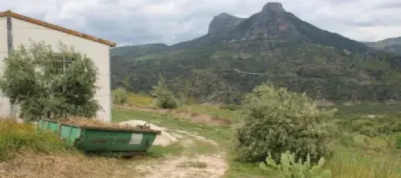 3 Schlafzimmer Haus in Cadiz, Spain, Nr. 166908 47