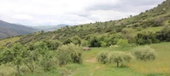 3 Schlafzimmer Haus in Cadiz, Spain, Nr. 166908 43