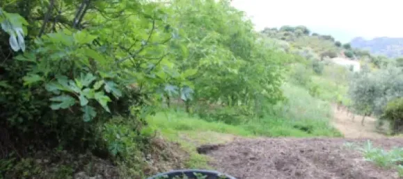 3 Schlafzimmer Haus in Cadiz, Spain, Nr. 166908 20