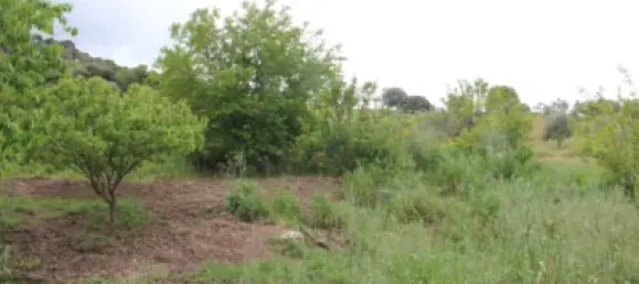 3 Schlafzimmer Haus in Cadiz, Spain, Nr. 166908 24