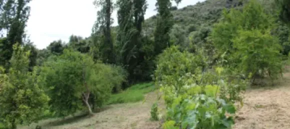 3 Schlafzimmer Haus in Cadiz, Spain, Nr. 166908 15