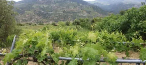 3 Schlafzimmer Haus in Cadiz, Spain, Nr. 166908 48