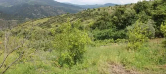 3 Schlafzimmer Haus in Cadiz, Spain, Nr. 166908 4