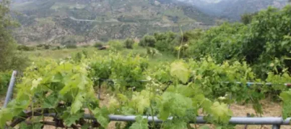 3 Schlafzimmer Haus in Cadiz, Spain, Nr. 166908 25