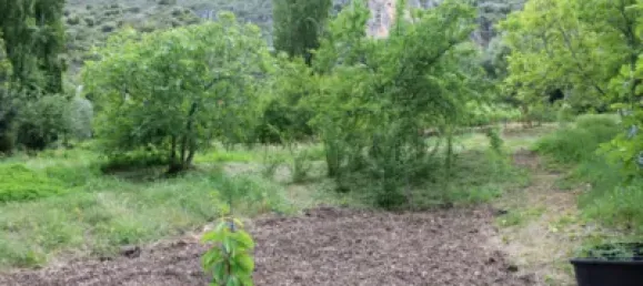 3 Schlafzimmer Haus in Cadiz, Spain, Nr. 166908 22