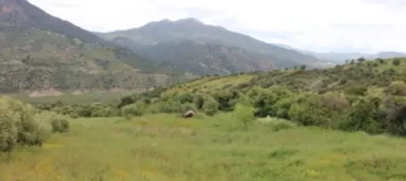 3 Schlafzimmer Haus in Cadiz, Spain, Nr. 166908 30