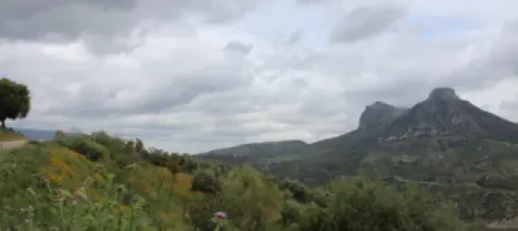 3 Schlafzimmer Haus in Cadiz, Spain, Nr. 166908 7